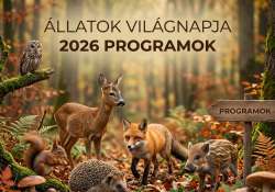 Mancsok, paták, szárnyak: Éljen az Állatok Hete!
