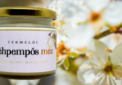 Méhpempős méz: természetes elixír az egészségért