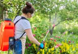 Miért nélkülözhetetlen a permetező cső a kertészkedésben?