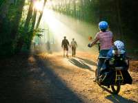 Tavaszra hangolódva: családi tervező este februárban