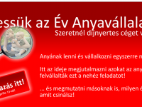 Az Év Anyavállalata 2012