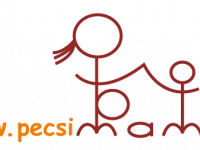 Pécsi és Baranya megyei művészeti és sportiskolák