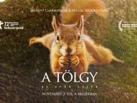 Filmajánló: A tölgy - Az erdő szíve