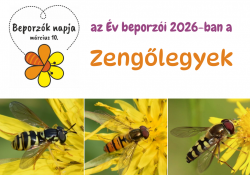 Megvan az Év Beporzói verseny nyertese! Megvan az Év Beporzói verseny nyertese!