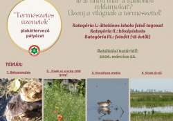 Te is unod már a sablonos reklámokat? Üzenj a világnak a természettel! Te is unod már a sablonos reklámokat? Üzenj a világnak a természettel!