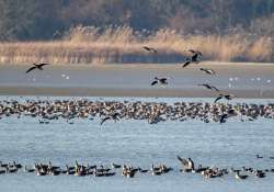  Tatai Vadlúd Sokadalom