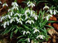 Furcsa és különleges nőnapi szokások a nagyvilágban Furcsa és különleges nőnapi szokások a nagyvilágban